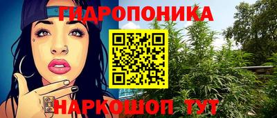 СК Тулун