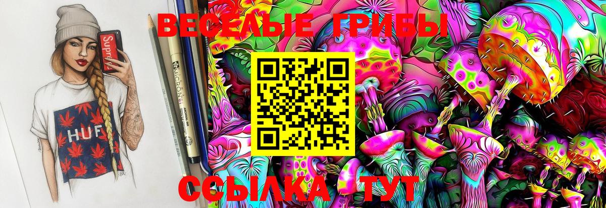 Псилоцибиновые грибы Psilocybe  Галлюциногенные грибы Magic Shrooms  Вход с VPN  Курчатов 